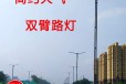 浙江衢州10米路灯生产厂家批发价格