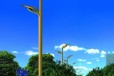 吐鲁番led路灯-道路照明灯厂家热线