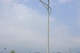 日照9米太阳能路灯，太阳能路灯厂家本地定制