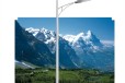 黄山8米太阳能路灯，太阳能路灯订货热线