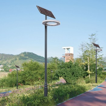 安徽宿州9米太阳能路灯厂家.乡村道路改造