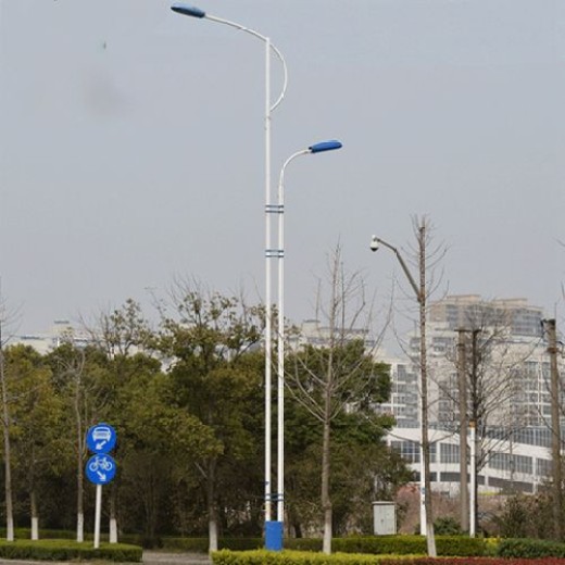 邯郸10米led路灯厂家定制方案