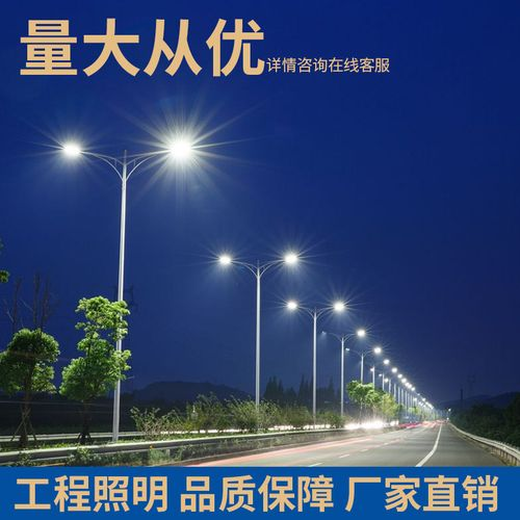 威海市电高杆灯-道路照明灯当地价格行情