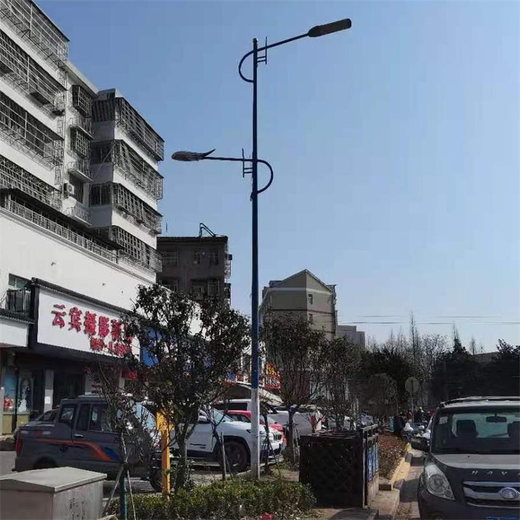 塔城名族特色路灯-道路照明灯当地询价电话