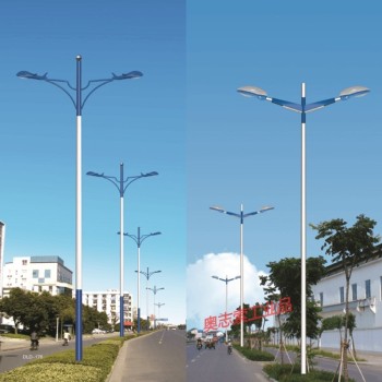 丽水智能路灯-道路照明灯当地安装厂家