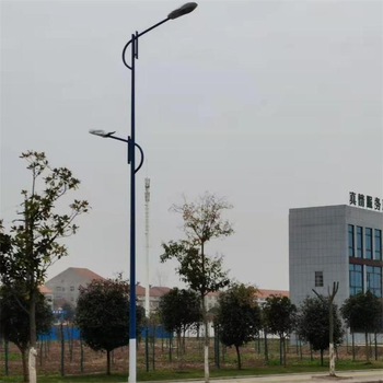 浙江舟山市電路燈廠家.新農(nóng)村安裝
