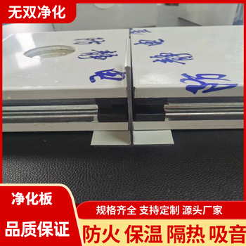 1180型手工凈化板玻鎂巖棉夾芯潔凈板聚酯烤漆彩鋼板
