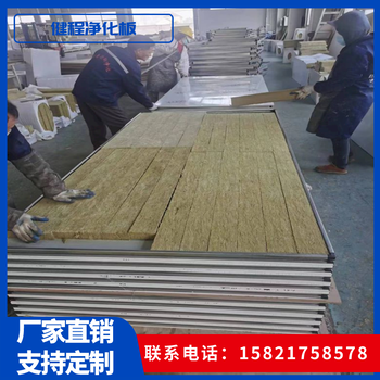 電子廠無塵車間用手工巖棉凈化板雙玻鎂巖棉手工板潔凈板