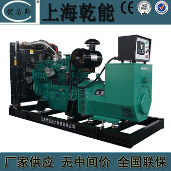 廣西廠家供應上海乾能310KW柴油發(fā)電機組學校備用發(fā)電機QN12H380