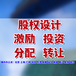 股權(quán)融資方案如何制定，股權(quán)融資策劃書(shū)