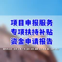 項(xiàng)目資金申請報(bào)告代寫，項(xiàng)目申報(bào)書制作
