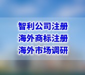 注册智利公司办理流程，智利公司注册代理