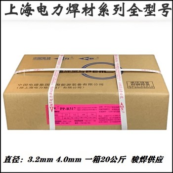 PP-R202耐熱鋼焊條