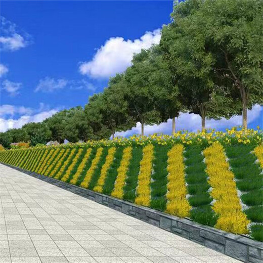 西藏山南草種籽草種草籽交易市場企業(yè)排名