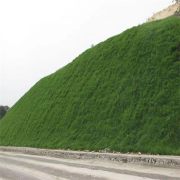 新疆喀什常青草种草籽代理商批发高速边坡复绿施工草籽