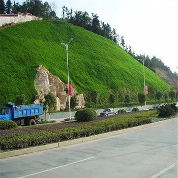 四川自貢常青草種草籽代理商批發園林綠化工程草的種子
