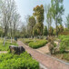 廣東深圳常青草種草籽種子站批發固土護坡草子