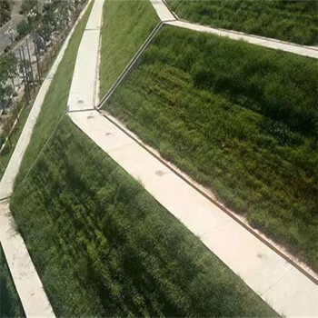 云南保山草種草籽銷售公司銷售苜蓿草種子