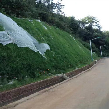 浙江臺(tái)州草種草籽銷售點(diǎn)銷售冷地早熟禾種子園林用途：綠化、護(hù)坡、生態(tài)修復(fù)