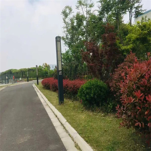 福建廈門(mén)草種草籽經(jīng)銷商銷售早熟禾種子園林用途：綠化、護(hù)坡、生態(tài)修復(fù)