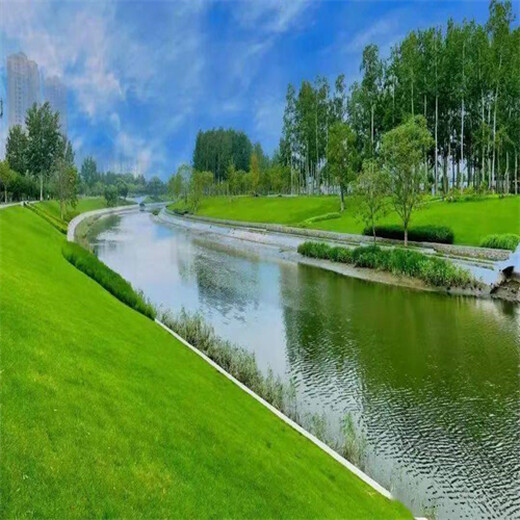 山西陽泉飛播草籽基地綠色生態(tài)建設(shè)新篇章園林用途：綠化、護(hù)坡、生態(tài)修復(fù)