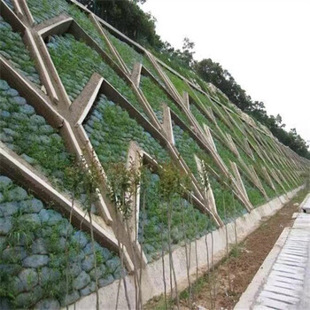 福建宁德草种籽草种草籽交易市场:为您的绿化工程选择佳种子品种：草种籽