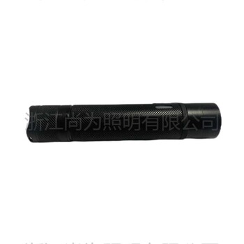 尚為SZSW2103輕便式微型手電5W手持工作燈