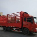 青島至山東（全境）貨物專線運(yùn)輸整車零擔(dān)拼車業(yè)務(wù)