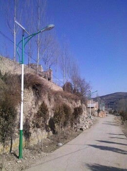 石嘴山哪里賣景觀燈