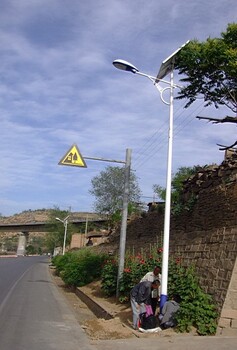 廊坊哪里賣景觀燈