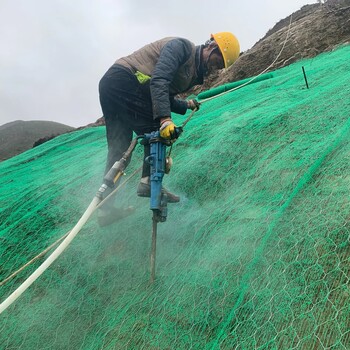 邊坡綠化防護網