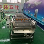 速凍玉米整套生產(chǎn)設備，即食鮮糯玉米加工成套設備