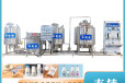 巴氏奶生产线设备，新疆鲜奶生产线