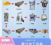 苹果汁整条生产流水线，芒果汁加工设备