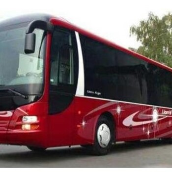 青島到洛陽大巴車