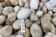 桂林雁山区变压器鹅卵石米黄色鹅卵石供应商