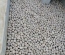 呼和浩特新城区米黄色鹅卵石电力部门鹅卵石生产供应商图片
