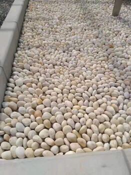 玉林北流市5-8厘米變壓器鵝卵石米黃色鵝卵石廠家品牌