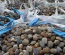 大庆杜尔伯特蒙古族自治县配电室鹅卵石米黄色鹅卵石供应商图片