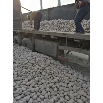 九江德安县电厂鹅卵石米黄色鹅卵石厂家批发供应