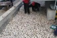 湛江霞山区污水厂处理鹅卵石用途