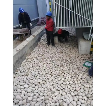 大庆龙凤区配电室鹅卵石米黄色鹅卵石生产供应商