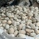 發發助手