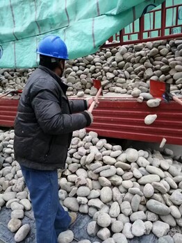 沈陽新民市220kv米黃色鵝卵石廠家品牌