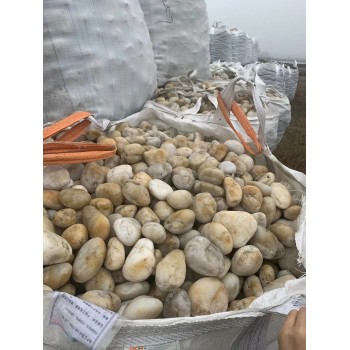 商丘宁陵县变压器鹅卵石米黄色鹅卵石价格