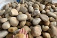 大理宾川县水处理鹅卵石米黄色鹅卵石用途
