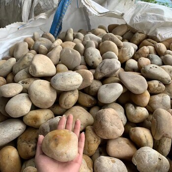 沈陽新民市220kv米黃色鵝卵石廠家品牌