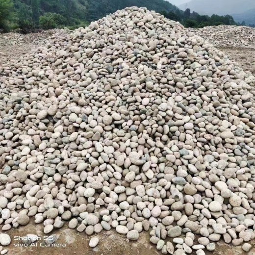 山南地区浪卡子县5-8厘米变压器鹅卵石米黄色鹅卵石厂家批发