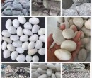 运城新绛县米黄色鹅卵石电力部门鹅卵石厂家品牌图片