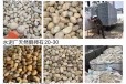 哈尔滨尚志市变压器鹅卵石米黄色鹅卵石一吨价格